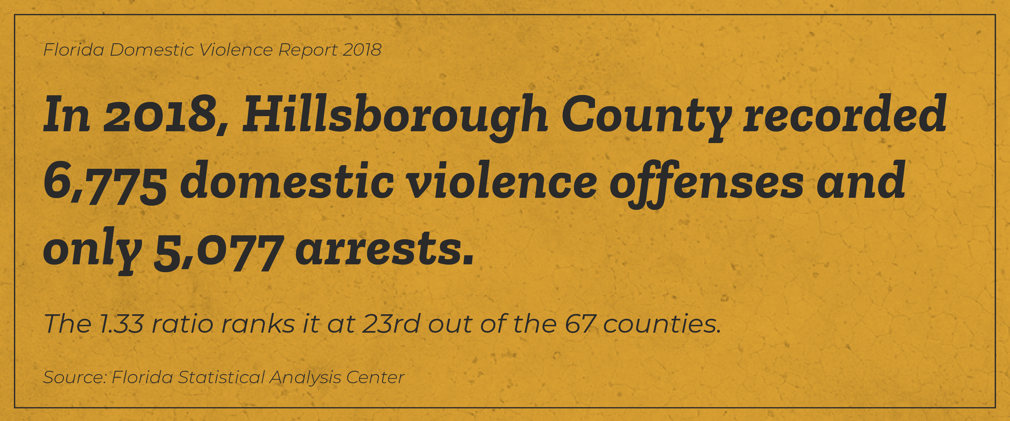 hillsborough-county-6775-offenses